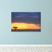 Panoramisch uitzicht op gier en acaciaboom canvas afdruk (Insitu (Houten vloer))