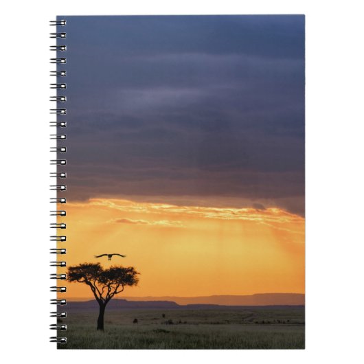 Panoramisch uitzicht over gier en acaciaboom notitieboek (Voorkant)
