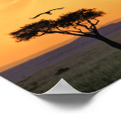 Panoramisch uitzicht over gier en acaciaboom poster (Hoek)