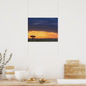 Panoramisch uitzicht over gier en acaciaboom poster (Keuken)
