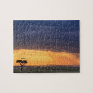 Panoramisch uitzicht van de boom van de wijnbouw e legpuzzel