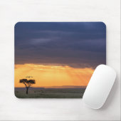 Panoramisch uitzicht van de boom van de wijnbouw e muismat (Met muis)