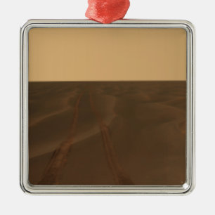 Panoramisch uitzicht van de vlakten van Meridiani Metalen Ornament