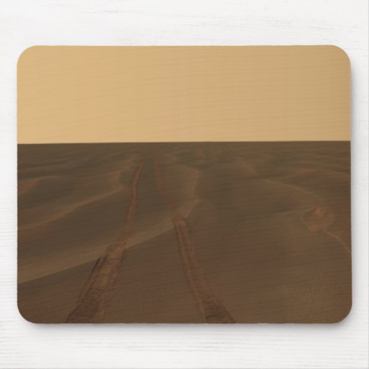 Panoramisch uitzicht van de vlakten van Meridiani Muismat (Voorkant)