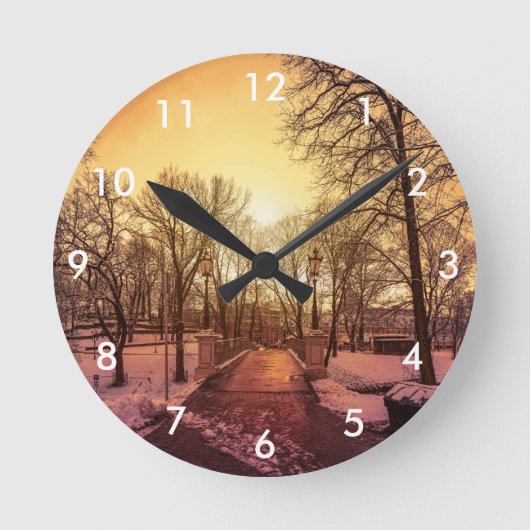 Panoramisch uitzicht van het sneeuwpark tijdens de ronde klok (Voorkant)