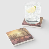 Panoramisch uitzicht van het sneeuwpark tijdens de stenen onderzetter (Zijkant)