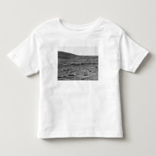 Panoramisch uitzicht van Mars 6 Kinder Shirts