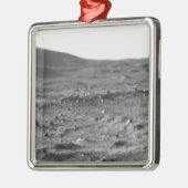 Panoramisch uitzicht van Mars 6 Metalen Ornament (Links)