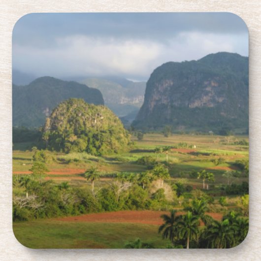 Panoramisch valleilandschap, Cuba Bier Onderzetter (Voorkant)