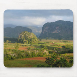 Panoramisch valleilandschap, Cuba Muismat