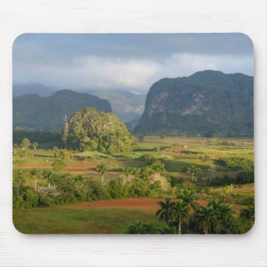 Panoramisch valleilandschap, Cuba Muismat (Voorkant)