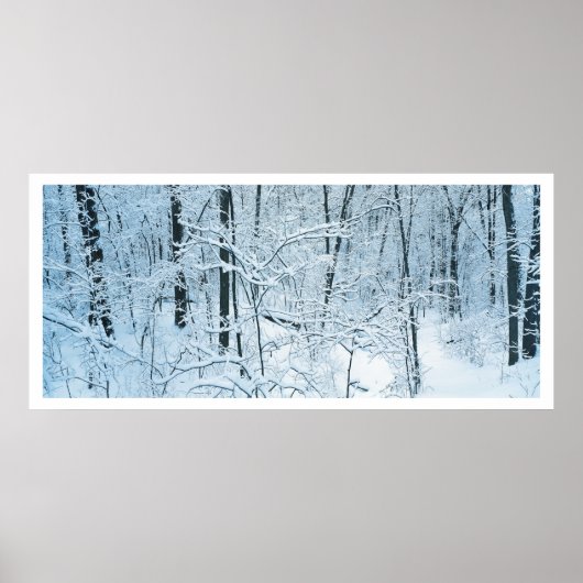 Panoramisch winterlandschap poster (Voorkant)