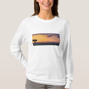 Panoramisch zicht op een enkele acacia bij t-shirt