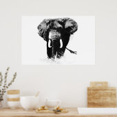 Panoramische B&W Olifant Posters Prints (Keuken)