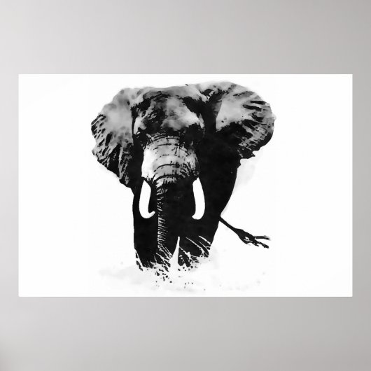 Panoramische B&W Olifant Posters Prints (Voorkant)