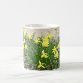 Panoramische Daffodil Flowers Mok (Center)