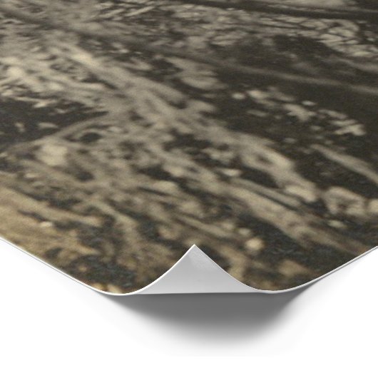  Panoramische Glacial Grooves Kelleys Island O Poster (Hoek)