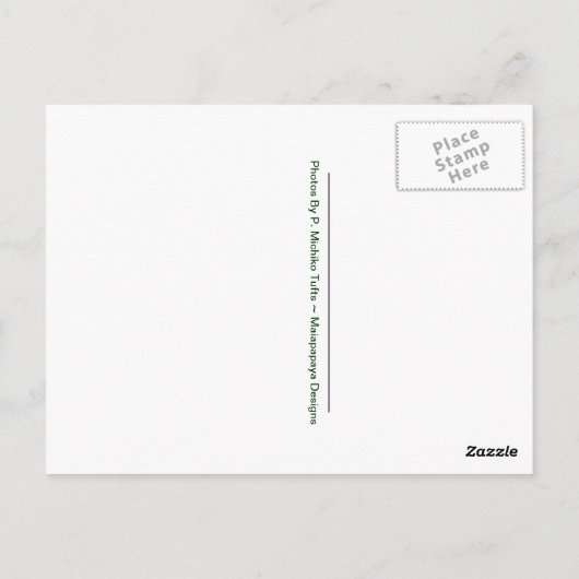 Panoramische Uitzichten van Waikiki Beach Hawaii Briefkaart (Achterkant)