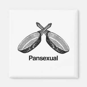 Panseksueel - magneet