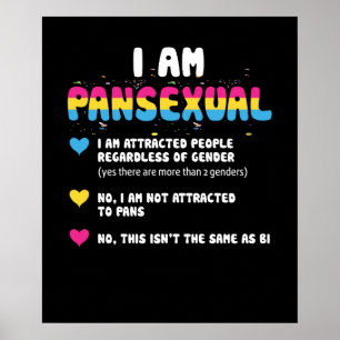 Panseksuele definitie - Funny Gay Pride LGBT Poster