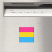 Panseksuele trots (Pan vlag) Magneet (Insitu (Vaatwasser))