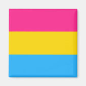 Panseksuele vlag- en pridegemeenschap/gender-vlag magneet (Voorkant)