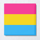 Panseksuele vlag- en pridegemeenschap/gender-vlag magneet