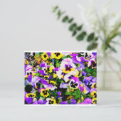 panserijbloemen briefkaart (Staand voorkant)
