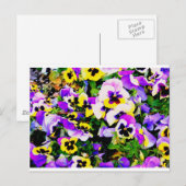panserijbloemen briefkaart (Voorkant / Achterkant)