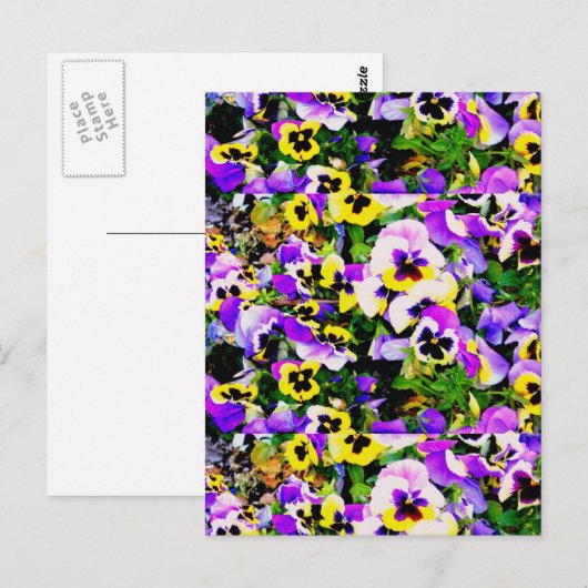 panserijbloemen briefkaart (Voorkant / Achterkant)