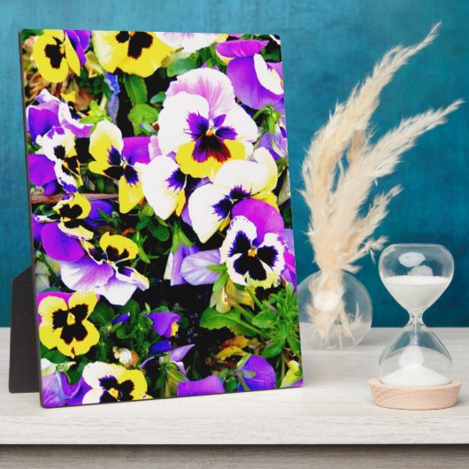 panserijbloemen fotoplaat (Zijkant)