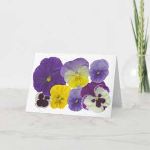 panserijbloemen kaart