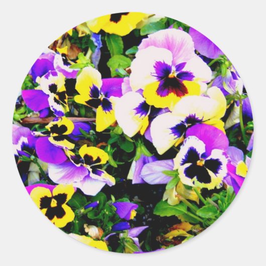 panserijbloemen ronde sticker (Voorkant)