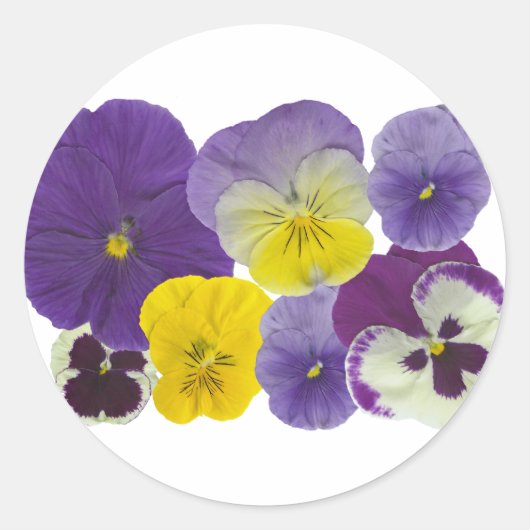 panserijbloemen ronde sticker (Voorkant)