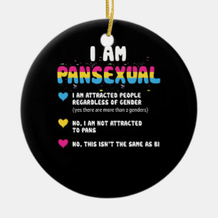 Pansexual Definition - Funny Gay Pride LGBT Keramisch Ornament