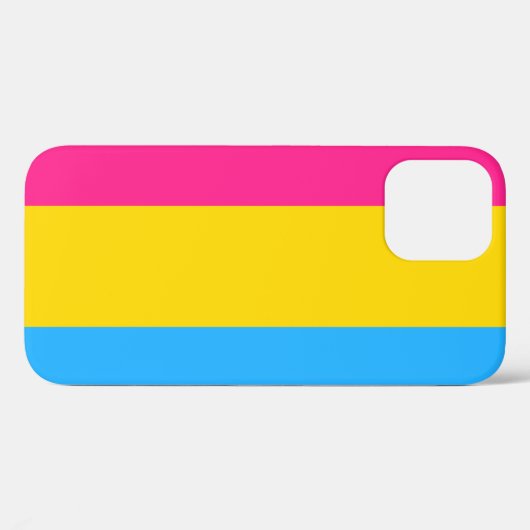 Pansexual flag iPhone 12 hoesje (Achterkant (horizontaal))