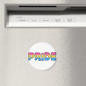 Pansexual/Omnisexual Pride Magneet (Insitu (Vaatwasser))