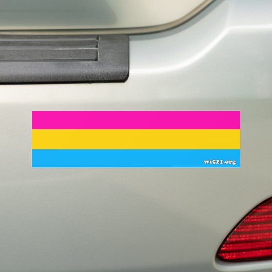 Pansexual pride flag bumper sticker (Op auto)