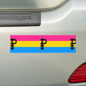 Pansexual Pride Flag Bumpersticker (Op auto)