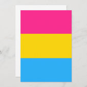Pansexual Pride Flag LGBTQ (Voorkant / Achterkant)