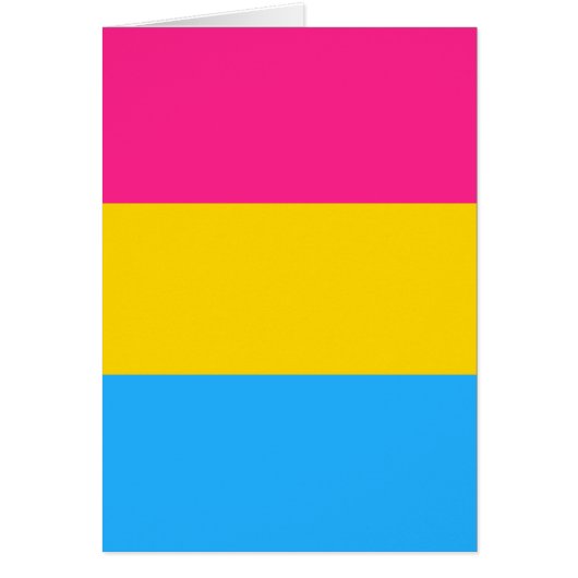 Pansexual Pride Flag LGBTQ (Voorkant)