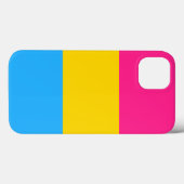 Pansexual Pride Flag LGBTQ Case-Mate iPhone Case (Achterkant (horizontaal))