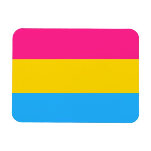 Pansexual Pride Flag LGBTQ Magneet (Horizontaal)