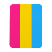 Pansexual Pride Flag LGBTQ Magneet (Verticaal)