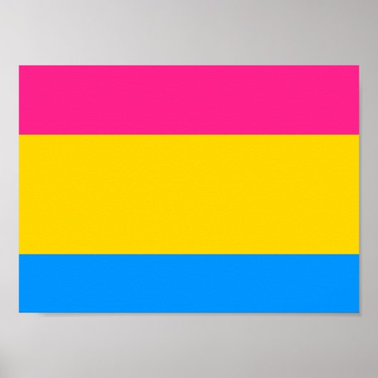 Pansexual Pride Flag Poster (Voorkant)