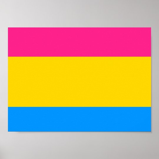 Pansexual Pride Flag Poster Zazzle Nl