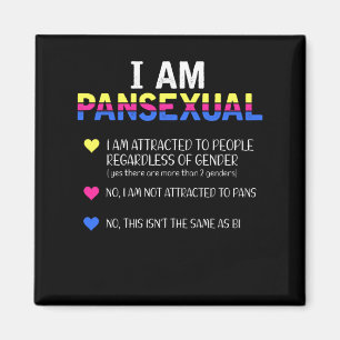 Pansexual Pride LGBT Gelijke rechten Magneet