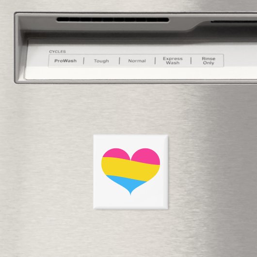 Pansexual Pride Magneet (Insitu (Vaatwasser))