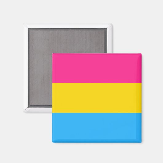 Pansexual Pride Magneet (Voorkant / Achterkant)