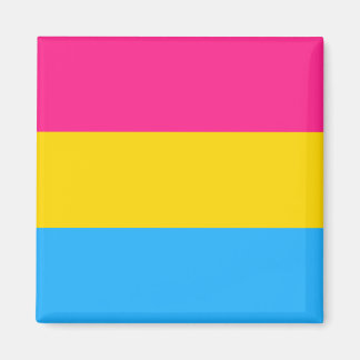 Pansexual Pride Magneet